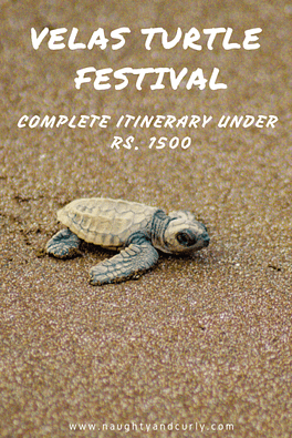 Velas Turtle Festival