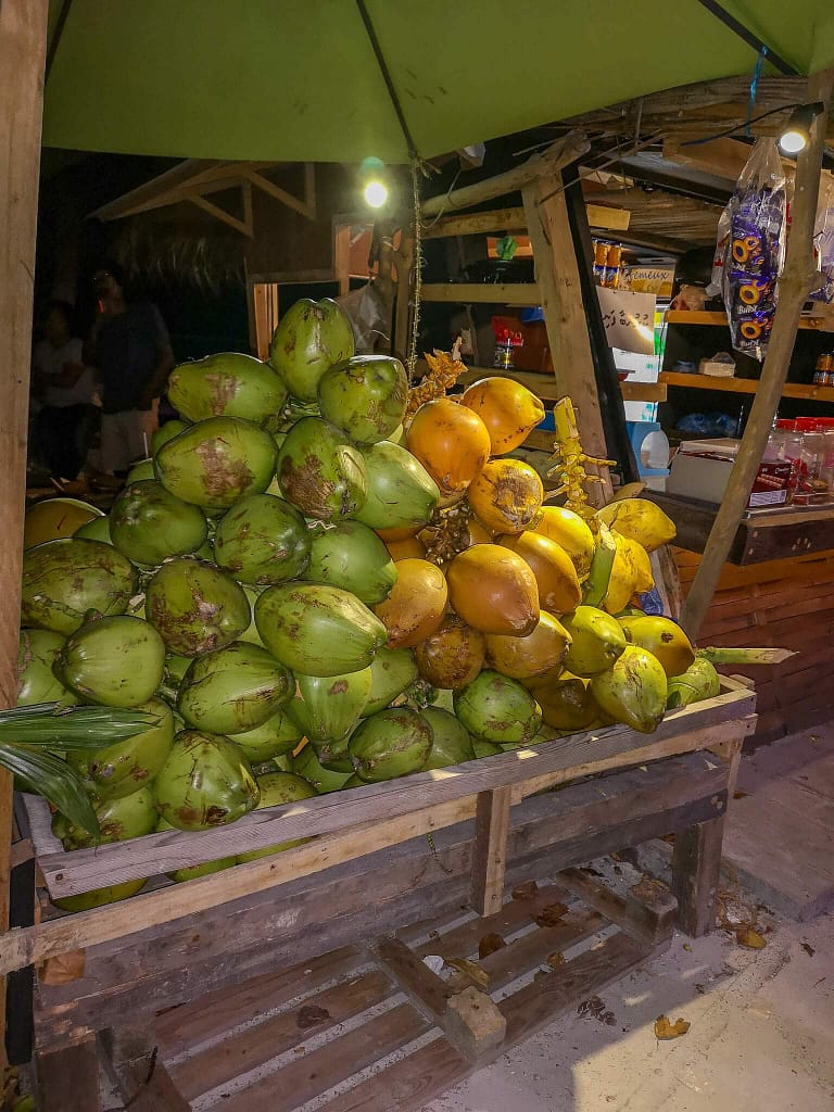 coconuts_hulhumale_male_maldives