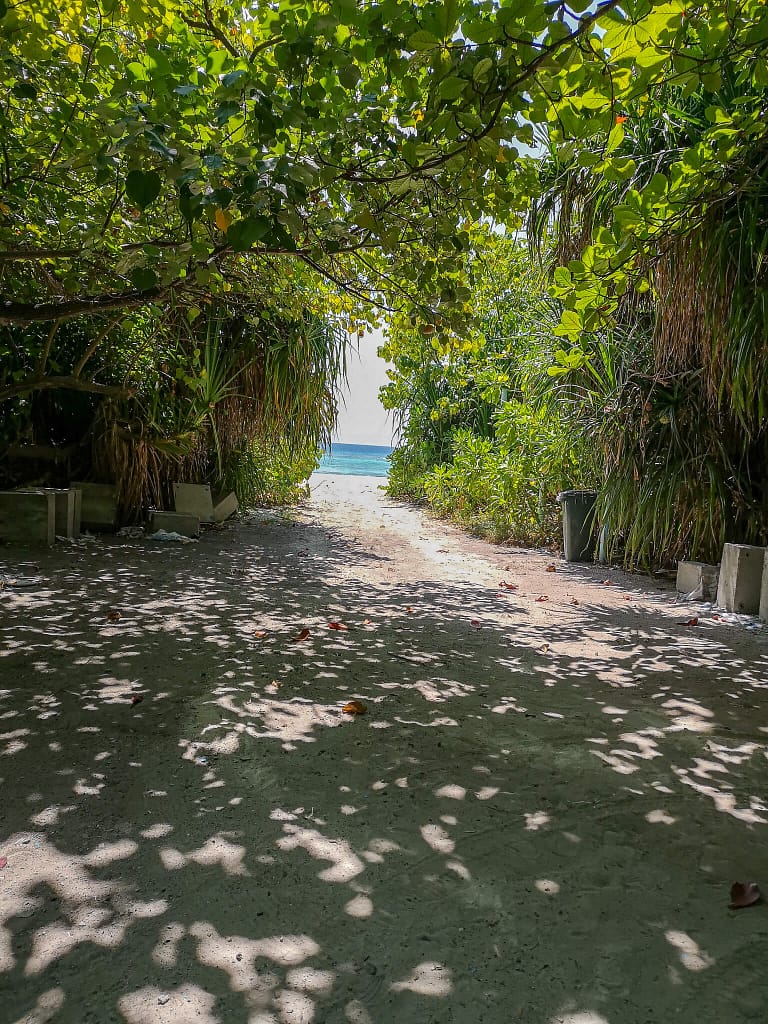 bikinibeach_rasdhoo_maldives